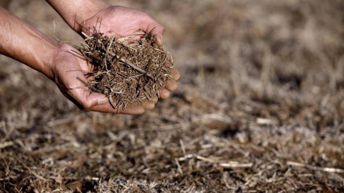 ¿Hay avance en los cambios que trae la nueva contribución de Chile para mitigar el cambio climático? ¿Hay avance en los cambios que trae la nueva contribución de Chile para mitigar el cambio climático?