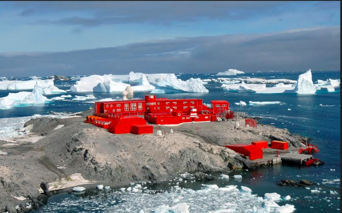 Antártica, un continente hasta ahora libre de virus pero vulnerable Antártica, un continente hasta ahora libre de virus pero vulnerable