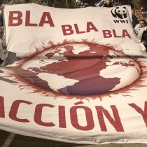 Compromisos climáticos de Chile abren la puerta a una reactivación verde de la economía, post crisis sanitaria