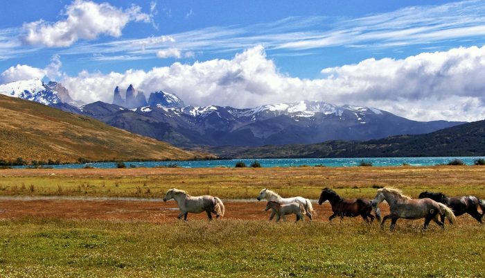 Turismo en cuarentena: cómo reinventar la industria Turismo en cuarentena: cómo reinventar la industria