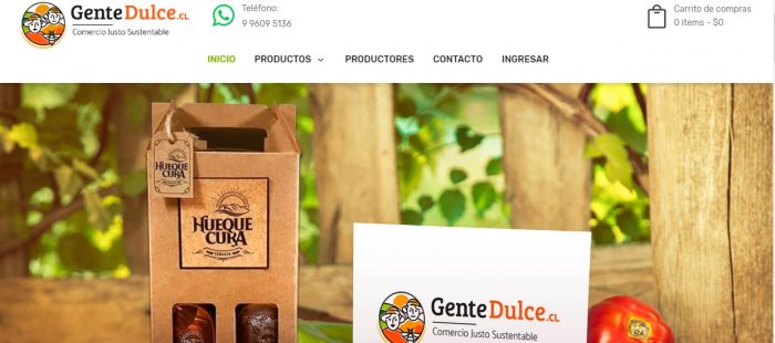 Lanzan campaña digital para ayudar a emprendedores de la Región del BíoBío Lanzan campaña digital para ayudar a emprendedores de la Región del BíoBío
