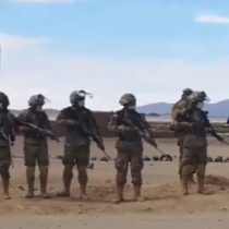 El espantapájaros se viste de camuflaje