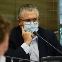 Se le enreda al Gobierno la tramitación del Ingreso Familiar de Emergencia: senadores de oposición emplazan a Briones a mejorar la propuesta