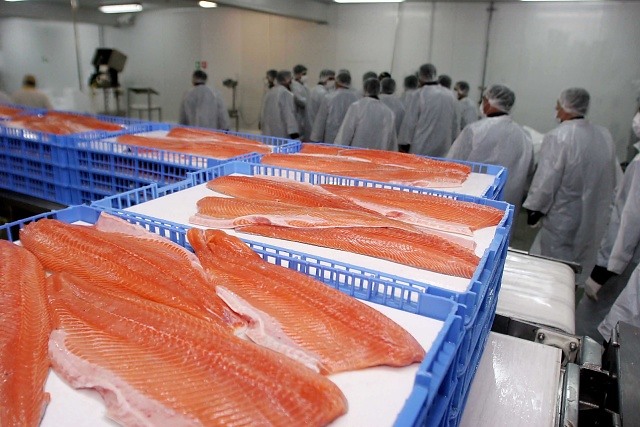 Subpesca aclara que Aysén y Los Lagos fueron declaradas como “no disponibles” para nuevas concesiones salmoneras Subpesca aclara que Aysén y Los Lagos fueron declaradas como “no disponibles” para nuevas concesiones salmoneras