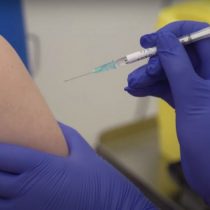 Universidad de Oxford avanza en su vacuna contra el coronavirus: pruebas en monos resultaron exitosas