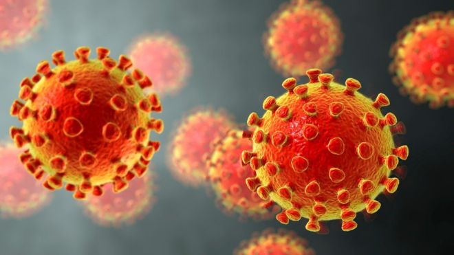 Coronavirus: qué se sabe de las mutaciones del virus del covid-19 (y cómo los científicos las están siguiendo en tiempo real) Coronavirus: qué se sabe de las mutaciones del virus del covid-19 (y cómo los científicos las están siguiendo en tiempo real)