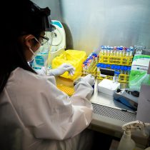 Falta de reactivos: subsecretario Zúñiga suspende autorización para nuevos laboratorios universitarios que procesan test PCR