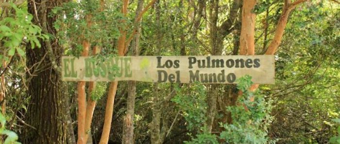 La importancia de incluir otros saberes indígenas y rurales en el manejo de ecosistemas chilenos La importancia de incluir otros saberes indígenas y rurales en el manejo de ecosistemas chilenos