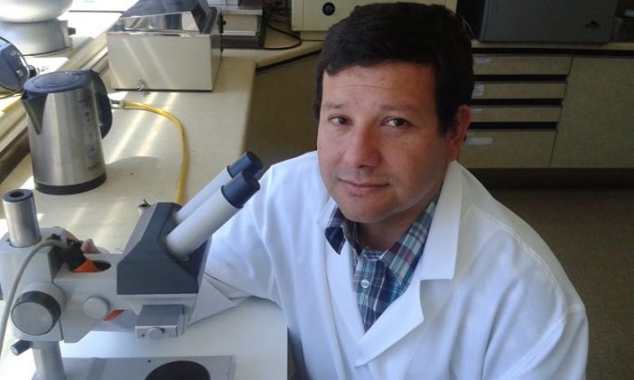 Infectólogo: “Es urgente decretar también cuarentena total en San Antonio y cordones sanitarios en Viña y Valparaíso” Infectólogo: “Es urgente decretar también cuarentena total en San Antonio y cordones sanitarios en Viña y Valparaíso”