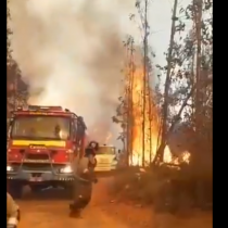 Decretan alerta roja en Valparaíso por incendio forestal fuera de control en sector La Pólvora