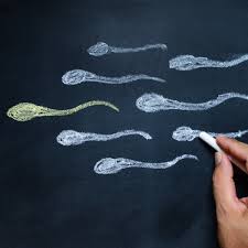 La contaminación silenciosa que nos está robando la fertilidad La contaminación silenciosa que nos está robando la fertilidad