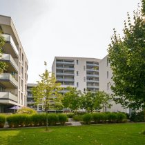 Menos centro urbano y más campo: Covid-19 sacude el mercado inmobiliario