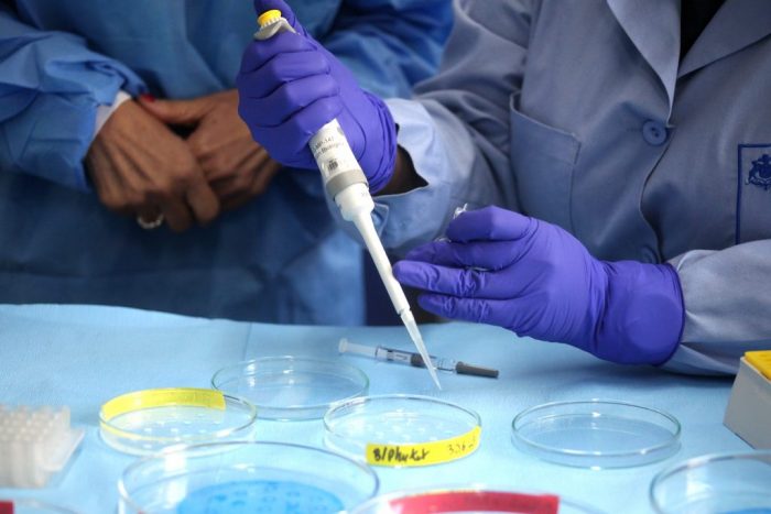 Red de laboratorios públicos llega a su capacidad máxima: Región Metropolitana manda a examinar test PCR a regiones Red de laboratorios públicos llega a su capacidad máxima: Región Metropolitana manda a examinar test PCR a regiones