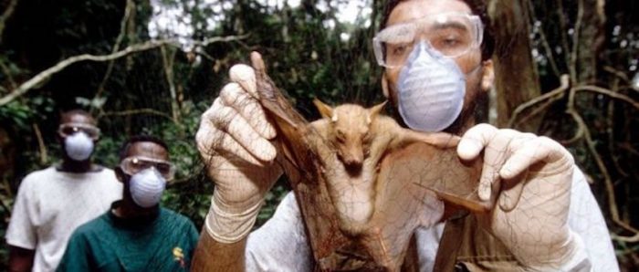 Coronavirus l “Esta no es la última pandemia”: la advertencia de los científicos ante la “tormenta perfecta” para nuevas enfermedades Coronavirus l “Esta no es la última pandemia”: la advertencia de los científicos ante la “tormenta perfecta” para nuevas enfermedades