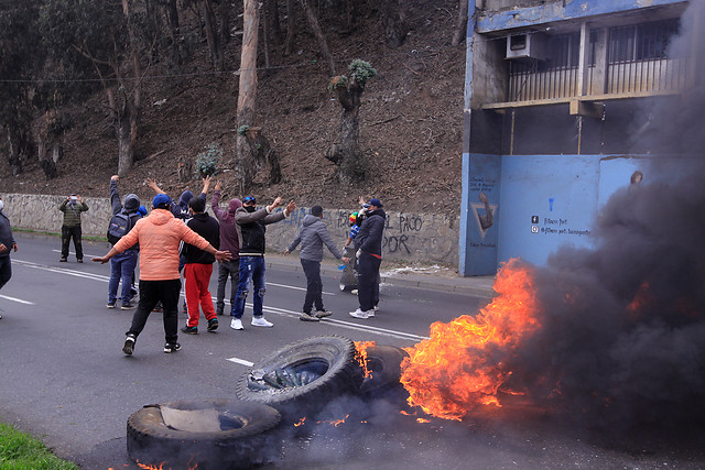 Tras manifestaciones de pescadores artesanales: Mesa del Senado se hará parte de defensa de la ley de la jibia ante el TC Tras manifestaciones de pescadores artesanales: Mesa del Senado se hará parte de defensa de la ley de la jibia ante el TC