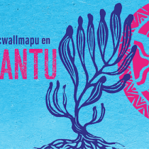 Ficwallmapu en We Tripantu: canto y poesía de diversos pueblos del sur 