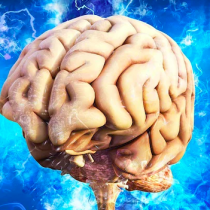 Neurociencias | Capacidad de renovar neuronas se mantiene en la enfermedad de Alzheimer, y en ella podría estar la esperanza de los pacientes