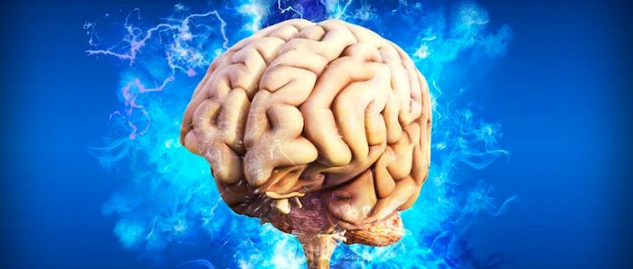 Neurociencias | Capacidad de renovar neuronas se mantiene en la enfermedad de Alzheimer, y en ella podría estar la esperanza de los pacientes