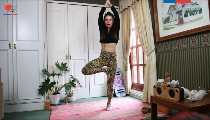 Yoga en línea busca promover la actividad física y el bienestar emocional en pandemia Yoga en línea busca promover la actividad física y el bienestar emocional en pandemia