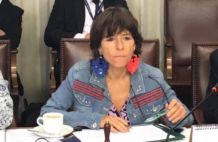 Diputada Girardi anunció proyecto de ley para prohibir suspensión unilateral de ferias libres durante la pandemia Diputada Girardi anunció proyecto de ley para prohibir suspensión unilateral de ferias libres durante la pandemia