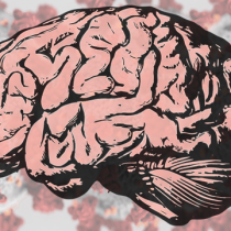 Neurociencias: el COVID-19 puede enfermar el cerebro