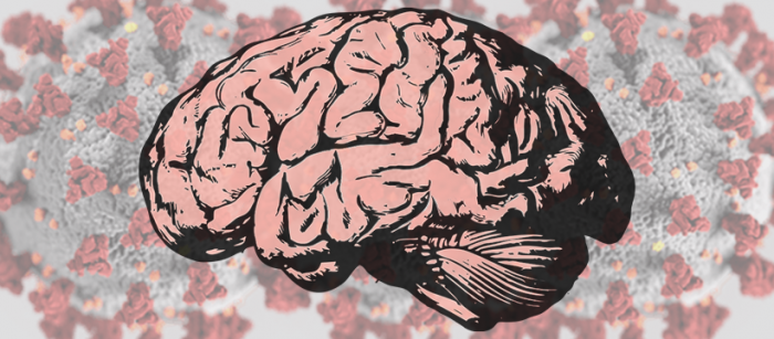Neurociencias: el COVID-19 puede enfermar el cerebro Neurociencias: el COVID-19 puede enfermar el cerebro