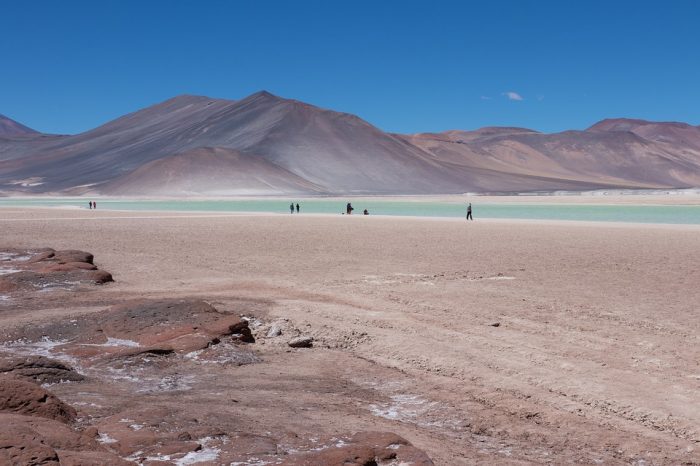 Desempleo golpea fuerte al turismo: cifras del INE revelan
caída de -20% en el trimestre móvil febrero-abril Desempleo golpea fuerte al turismo: cifras del INE revelan
caída de -20% en el trimestre móvil febrero-abril