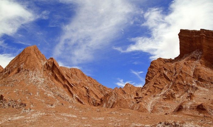 No sequemos el desierto: el oro del Atacama está en la vida única que lo habita No sequemos el desierto: el oro del Atacama está en la vida única que lo habita