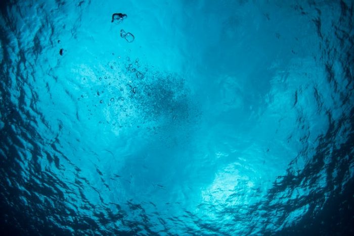 El fino equilibrio entre bacterias y virus El fino equilibrio entre bacterias y virus