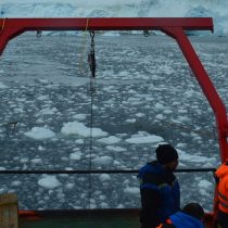 Científicos estudian microalgas para obtener respuestas del cambio climático en la Antártica