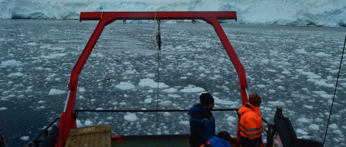 Científicos estudian microalgas para obtener respuestas del cambio climático en la Antártica