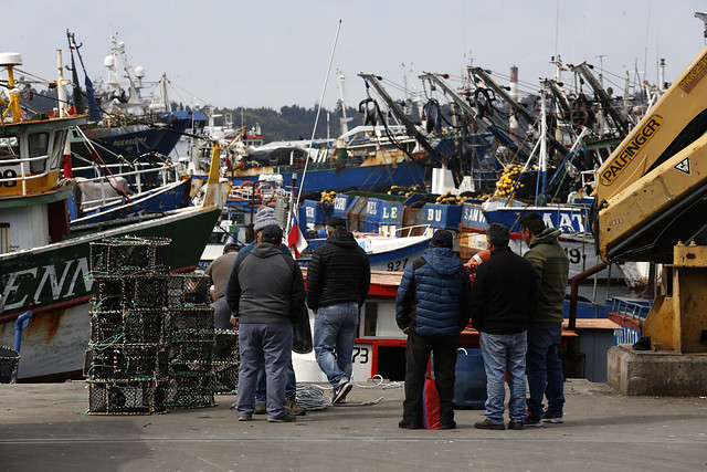 “Solo favorece a los grandes industriales”: diputadas PS rechazan que Subsecretaría de Pesca dependa del Ministerio de Agricultura “Solo favorece a los grandes industriales”: diputadas PS rechazan que Subsecretaría de Pesca dependa del Ministerio de Agricultura