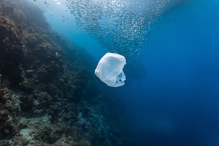 Llaman a los países a sumarse a la lucha contra la contaminación plástica en los océanos y alcanzar un acuerdo global Llaman a los países a sumarse a la lucha contra la contaminación plástica en los océanos y alcanzar un acuerdo global