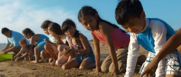 Películas para reflexionar y sorprenderse serán parte de la sección Educa de SANFIC 2020 Películas para reflexionar y sorprenderse serán parte de la sección Educa de SANFIC 2020
