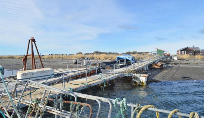 Magallanes: SMA formula cargos contra empresa Pesca Suribérica S.A. tras denuncia de Sernapesca por incumplimientos ambientales Magallanes: SMA formula cargos contra empresa Pesca Suribérica S.A. tras denuncia de Sernapesca por incumplimientos ambientales