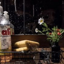 Fotógrafa chilena retrata la belleza de lo cotidiano durante su confinamiento por el COVID-19 en España