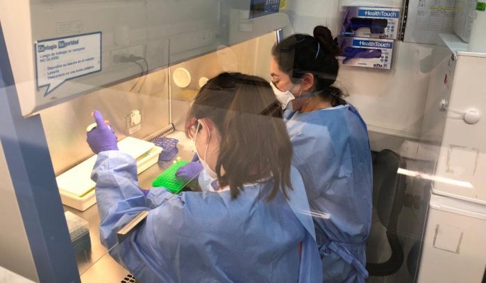 Investigación chilena estudia prevalencia del virus que causa covid-19 en deposiciones