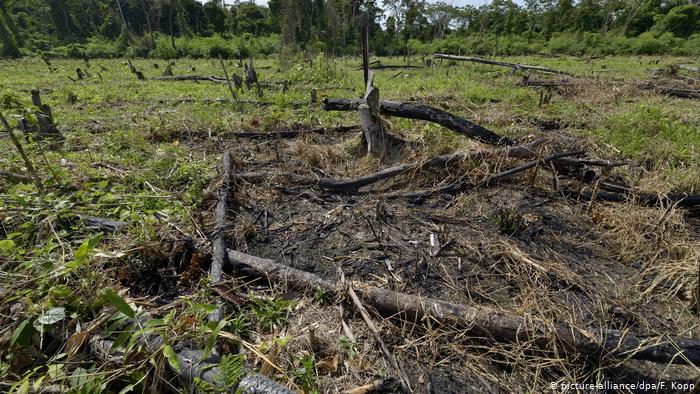 Viviendo a crédito: ¿Qué países están ya sobregirados con la naturaleza? Viviendo a crédito: ¿Qué países están ya sobregirados con la naturaleza?