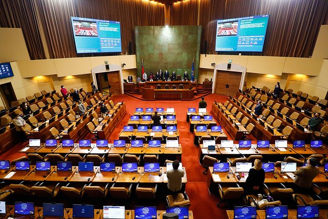A contrapelo del proyecto del Gobierno: Cámara de Diputados da luz verde a postnatal de emergencia y pasa al Senado