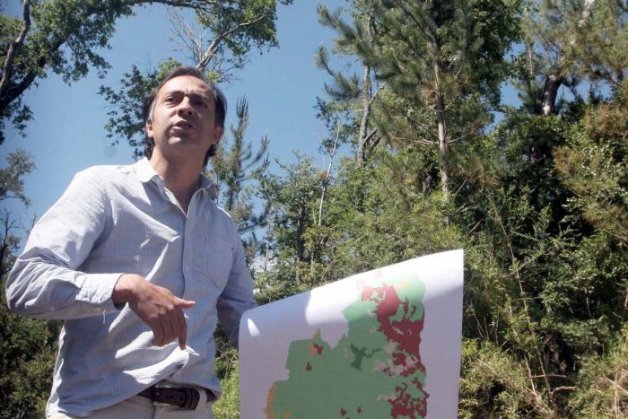 Estudio revela impactos negativos para el ambiente de subsidio a la forestación en Chile Estudio revela impactos negativos para el ambiente de subsidio a la forestación en Chile