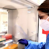 Laboratorios de la Universidad Autónoma de Chile han analizado más de 12000 muestras PCR 