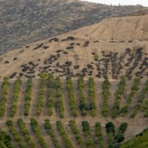 Estudiar la percepción de los agricultores ante la sequía es fundamental para crear comunidades más resilientes al cambio climático y fortalecer la mitigación