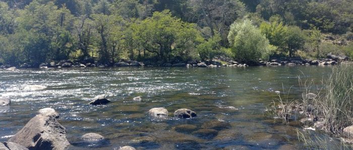 La fragmentación de los sistemas fluviales andinos chilenos aumentará severamente en un futuro cercano
