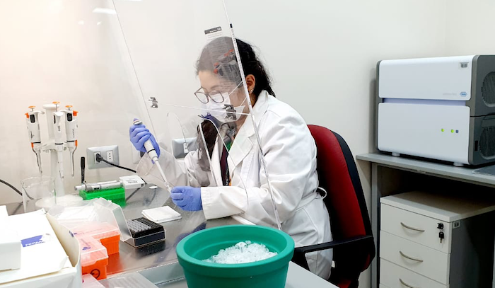 Festival de la Ciencia: celebremos la curiosidad, pero en serio Festival de la Ciencia: celebremos la curiosidad, pero en serio