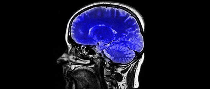 Revolucionarias investigaciones sobre eje cerebro-intestino y Covid-19 serán tema del próximo Puerto de Ideas EnVivo Revolucionarias investigaciones sobre eje cerebro-intestino y Covid-19 serán tema del próximo Puerto de Ideas EnVivo