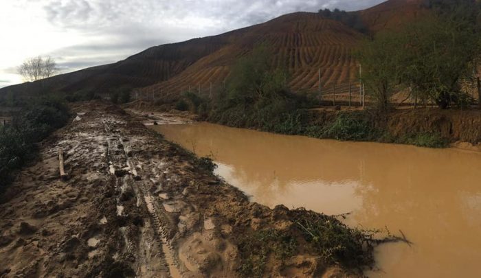 Denuncian ante la SMA a Tralcan SpA tras arrasar con zona de bosque nativo y provocar inundación en el Valle de Quilicura