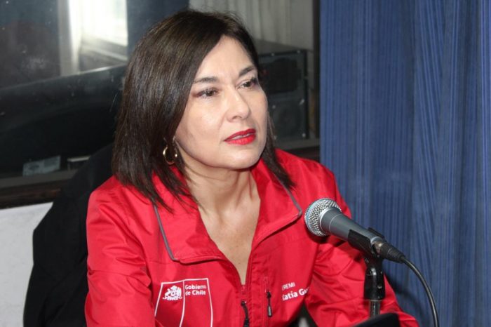 Ex seremi de Salud de La Araucanía es sobreseída en investigación por delito contra la salud pública Ex seremi de Salud de La Araucanía es sobreseída en investigación por delito contra la salud pública