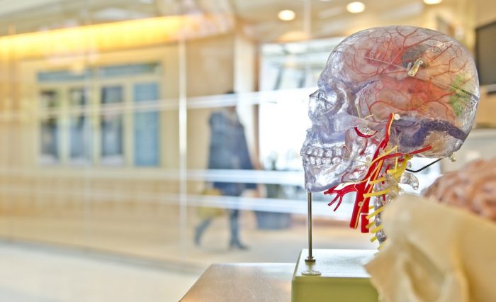 Temor a coronavirus disminuye drásticamente atenciones de urgencia de accidentes cerebrovascular Temor a coronavirus disminuye drásticamente atenciones de urgencia de accidentes cerebrovascular
