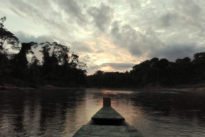 Día Internacional de los Parques Nacionales: tres estrategias para proteger la biodiversidad Día Internacional de los Parques Nacionales: tres estrategias para proteger la biodiversidad