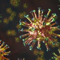 Tratamiento de la covid-19: qué son los anticuerpos monoclonales y por qué podrían ser una alternativa contra el coronavirus hasta que haya vacuna